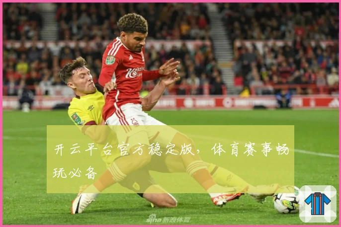 开云平台官方稳定版，体育赛事畅玩必备