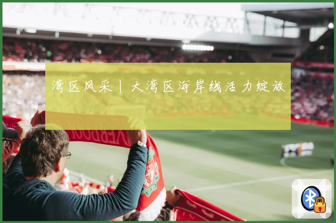 湾区风采丨大湾区海岸线活力绽放
