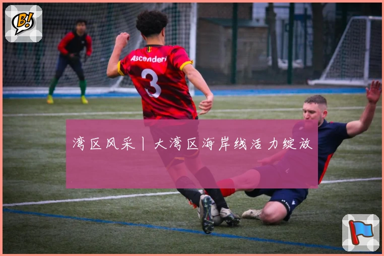 湾区风采丨大湾区海岸线活力绽放