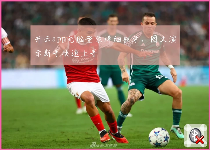 开云app电脑登录详细教学，图文演示新手快速上手